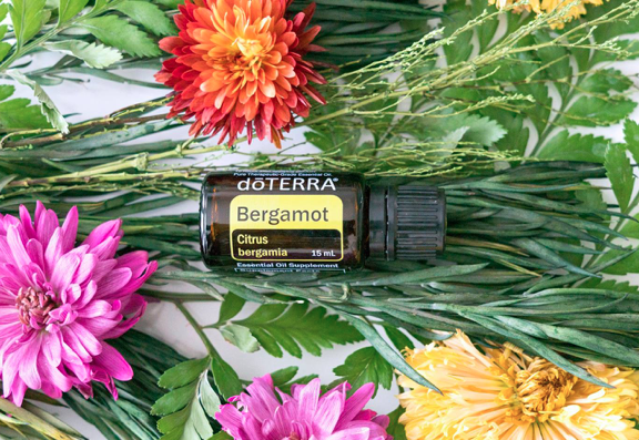 Bergamot