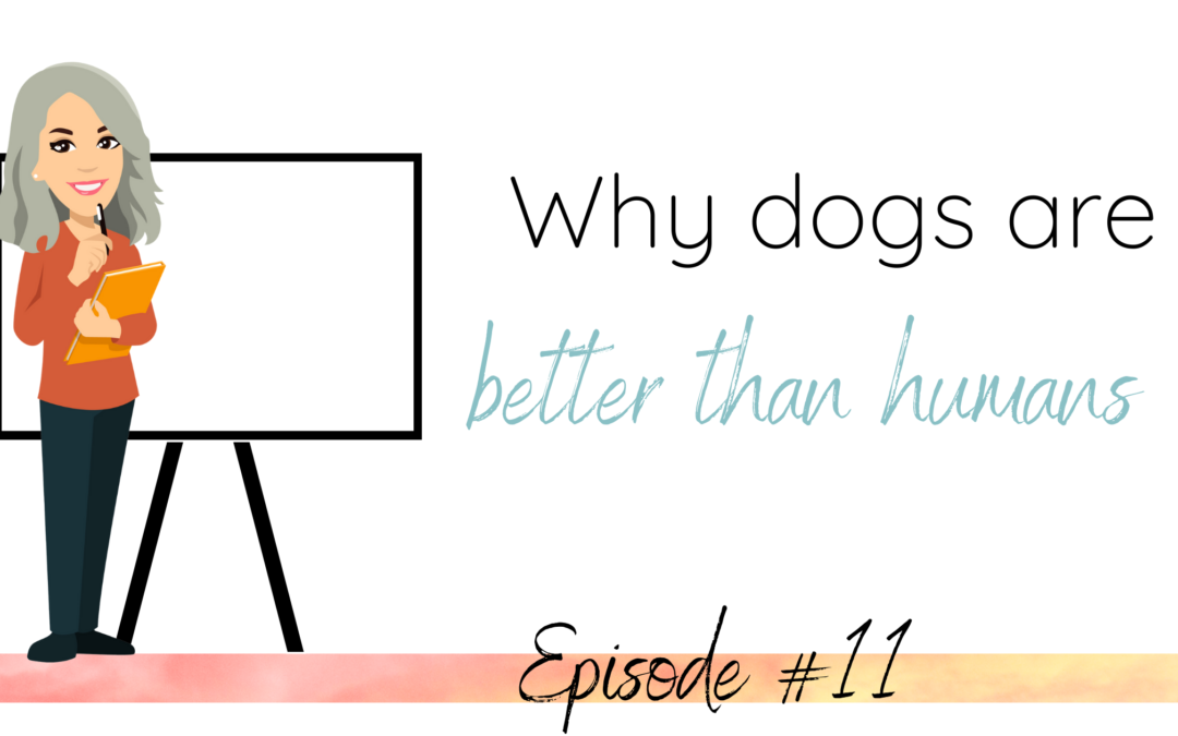 Why dogs are better than humans!